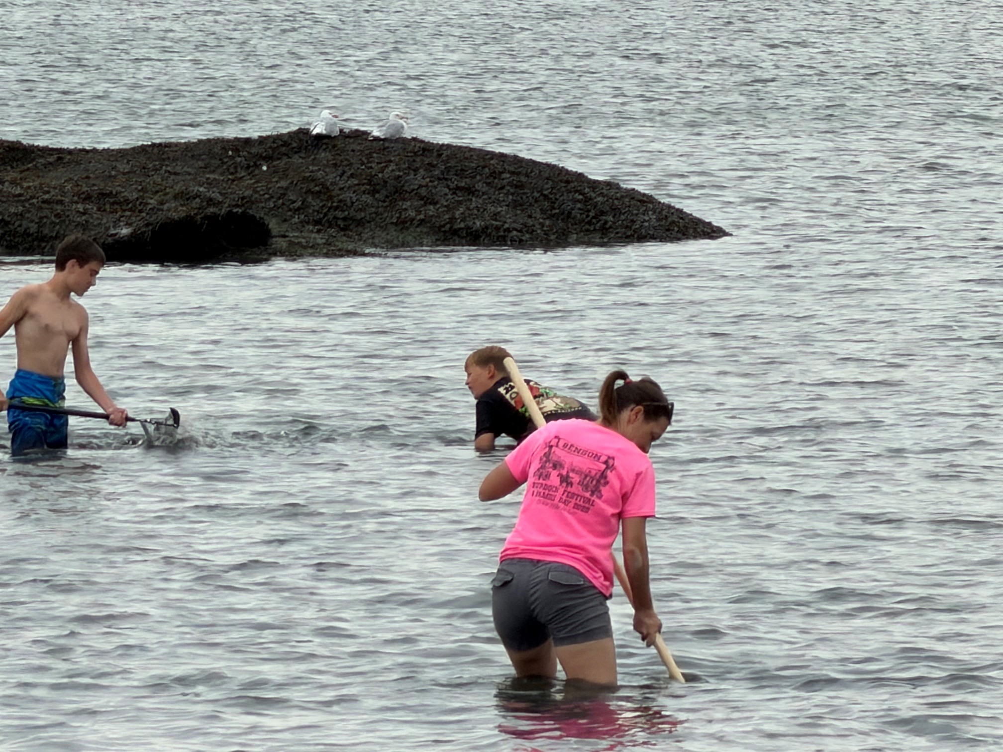 Scouts searching for clams along the shore during the 2026 clamming trip.